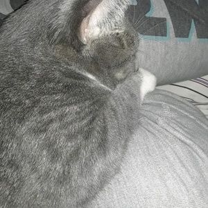 Meet your Posher, Kara